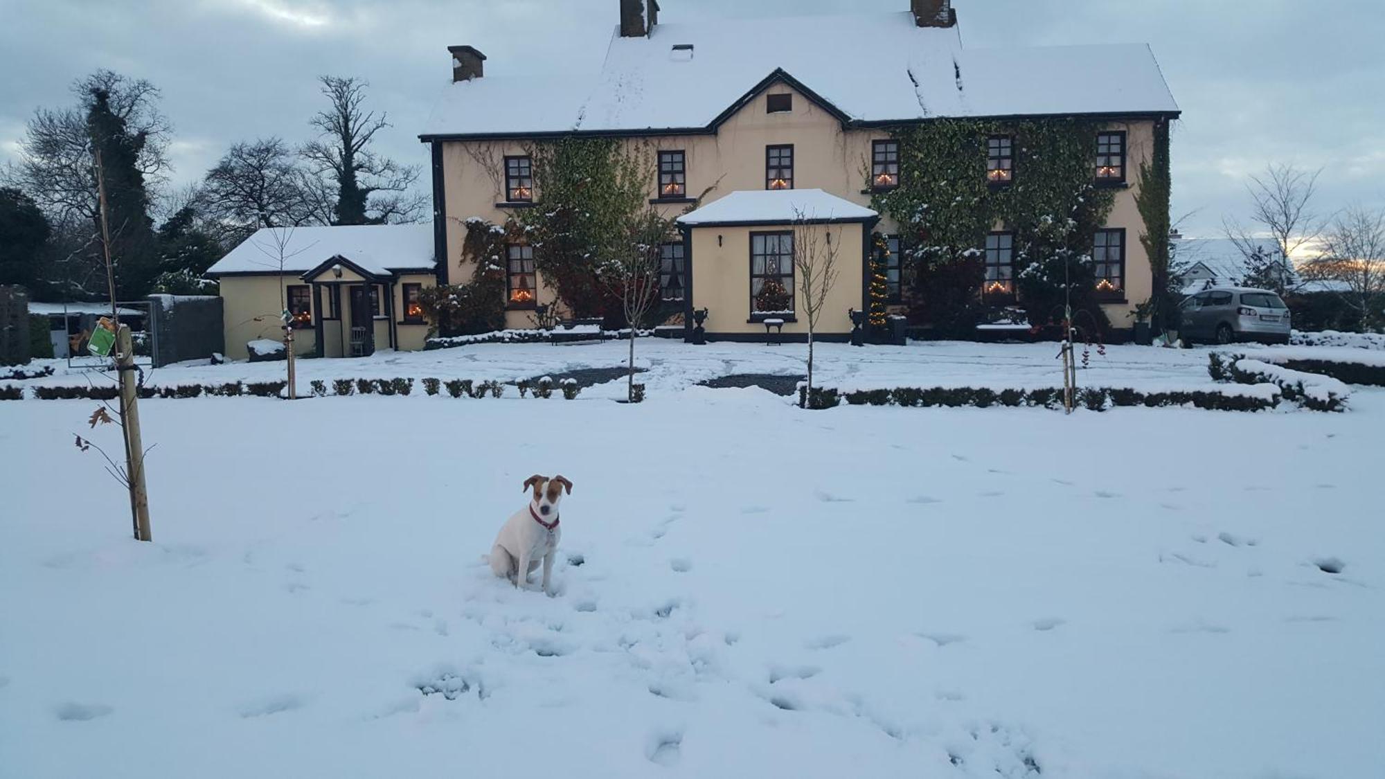 Charlotte'S Way B&B Banagher Esterno foto