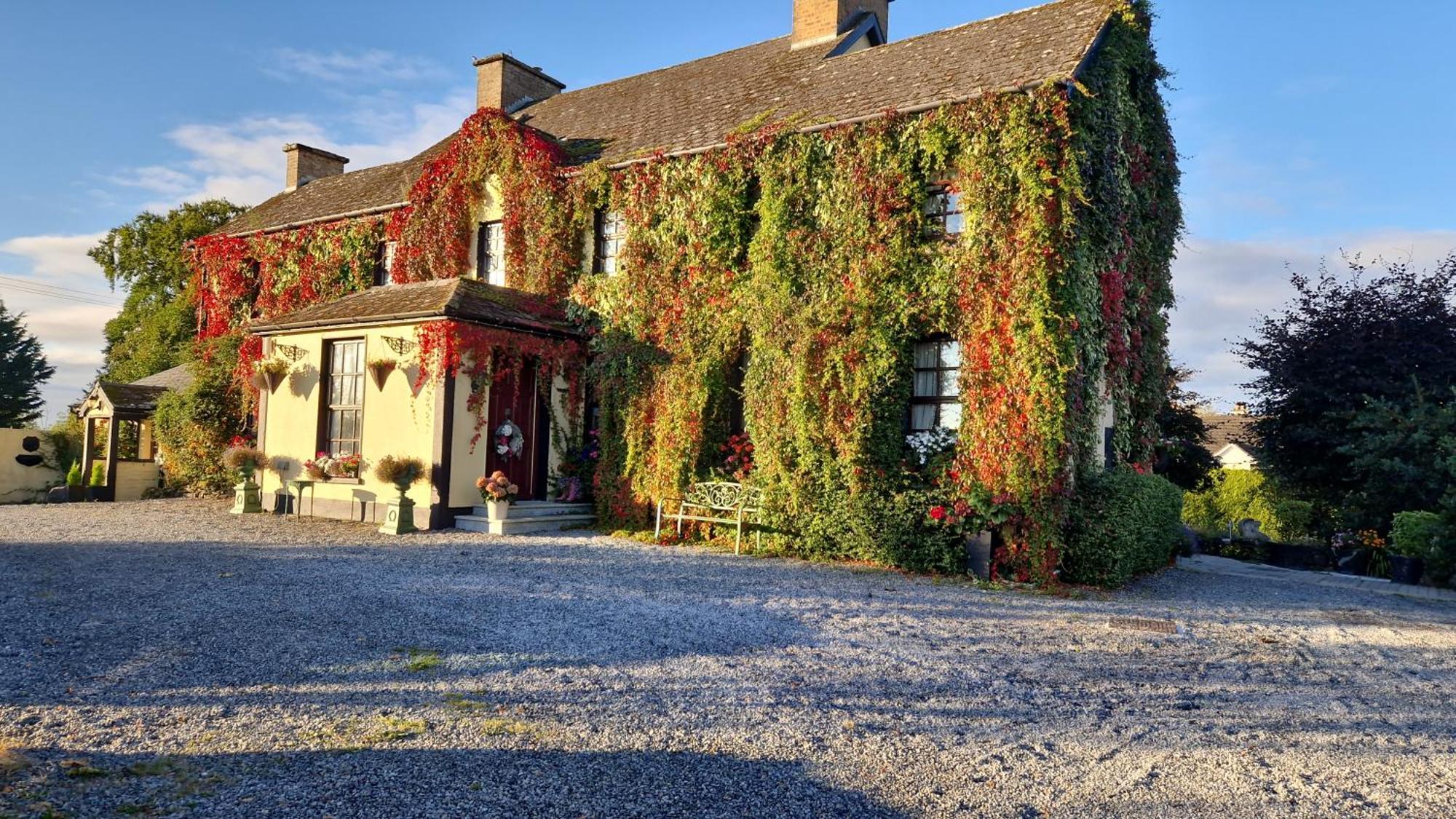 Charlotte'S Way B&B Banagher Esterno foto